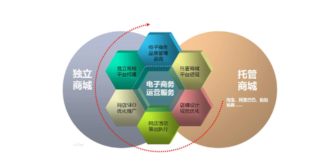 电子商务的应用领域与运营服务