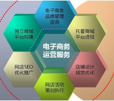 多媒体网络的分布式知识要点与电子商务运营服务